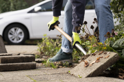 Een tegel wordt verwijderd met een schep om plaats te maken voor beplanting