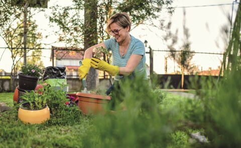 Een vrouw zet een plant in een pot in een groene tuin